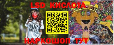 ПСИЛОЦИБИНОВЫЕ ГРИБЫ Канаш