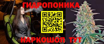 ПСИЛОЦИБИНОВЫЕ ГРИБЫ Канаш